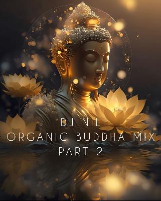 DJ NIL ORGANIC BUDDHA PART 2 K25 DJ NIL ORGANIC BUDDHA PART 2 K25