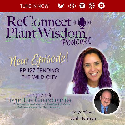 Ep.127 Tending the Wild City with Josh Harrison Ep.127 Tending the Wild City with Josh Harrison