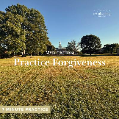 Meditation: Practise Forgiveness | 7 minute practice