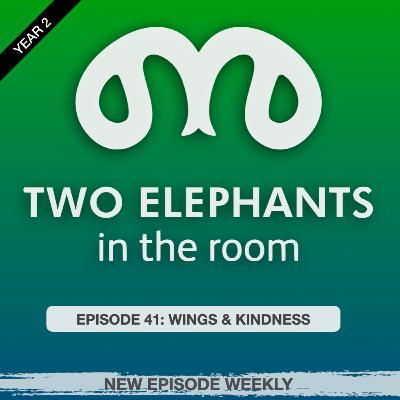 S2 E41: WINGS & KINDNESS