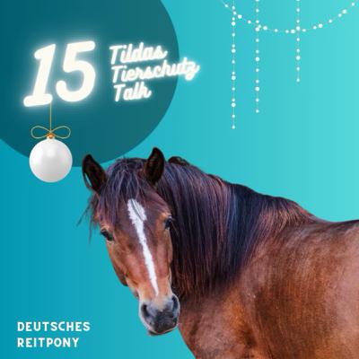 15. Türchen ✨