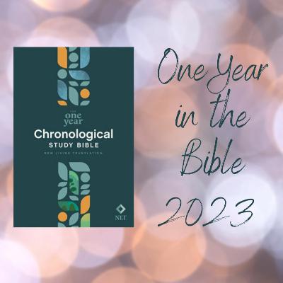 [UNLOCKED] Groundhog Day of the Dead: A Forest of Symbols Holiday Special