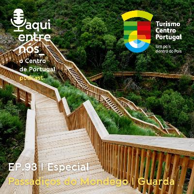 #93 - Passadiços do Mondego