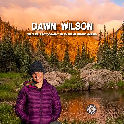 Wildlife Photography in Extreme Environments with Dawn Wilson Wildlife Photography in Extreme Environments with Dawn Wilson