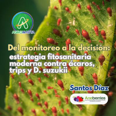 Del monitoreo a la decisión: estrategia fitosanitaria moderna contra ácaros, trips y D. suzukii