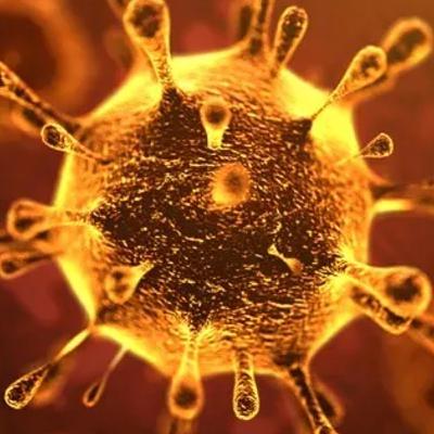 Tips To Avoid Coronavirus | Truth About Corona Virus Tips To Avoid Coronavirus | Truth About Corona Virus