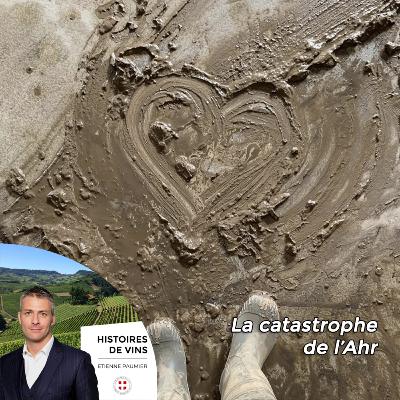 Histoires de vins - S2E10 - La catastrophe de l'Ahr