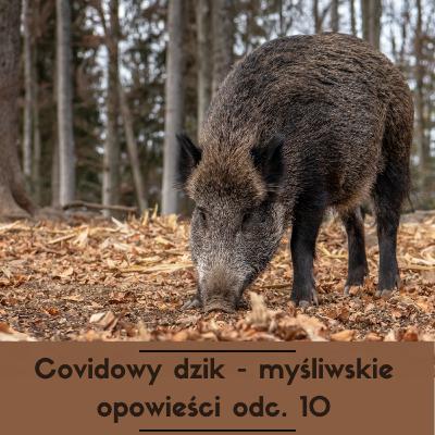Covidowy dzik - myśliwskie opowieści odc. 10