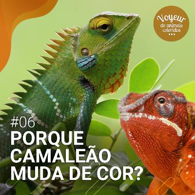 06# Porque Camaleão muda de cor?