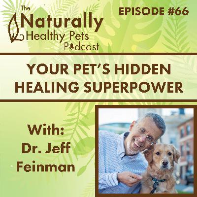 EP 66: Rethinking Pet Wellness: Your Pet's Hidden Healing Superpower with Dr. Jeff Feinman EP 66: Rethinking Pet Wellness: Your Pet's Hidden Healing Superpower with Dr. Jeff Feinman