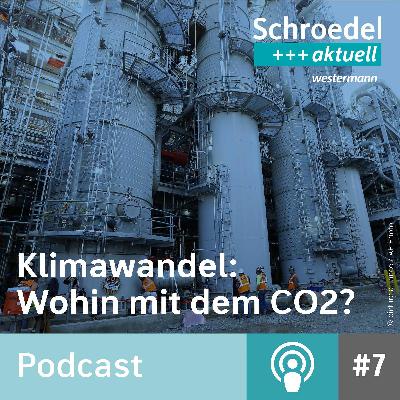 Klimawandel: Wohin mit dem CO2? (Episode 7)