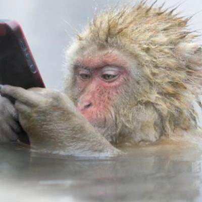 Röhögés vagy dühöngés - miért olvasunk olyan híreket, amiket nem tartunk hitelesnek?