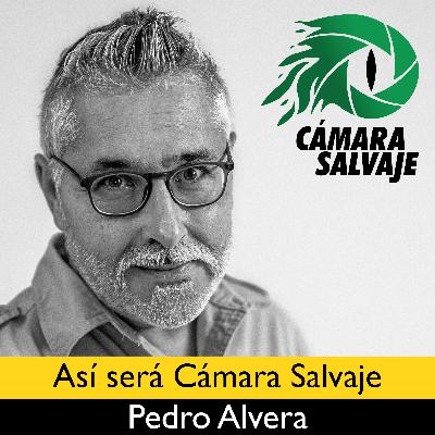 #00 Así será Cámara Salvaje #00 Así será Cámara Salvaje
