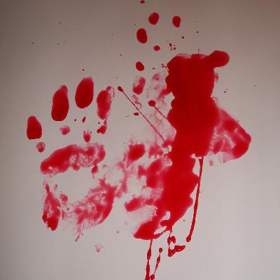 Murder of an American child beauty queen
