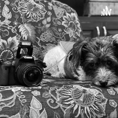 The Chicago Way by Michael Harvey Reading