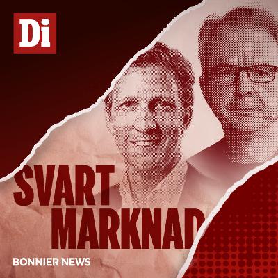 Intellegohärvan - ”En stor tragedi för investerarna” (2/2)
