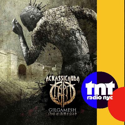 TNT #52 - Acrassicauda - Gilgamesh TNT #52 - Acrassicauda - Gilgamesh