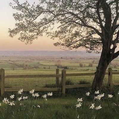 يوم في الرِيف