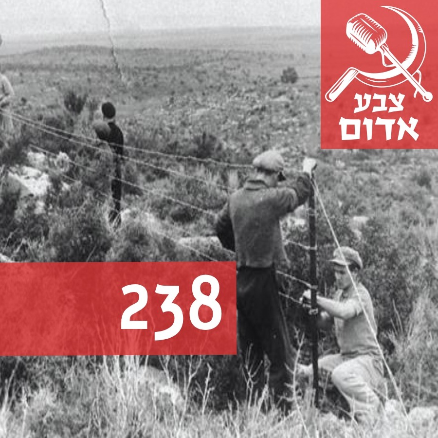 📢פרק 238📢 episode artwork