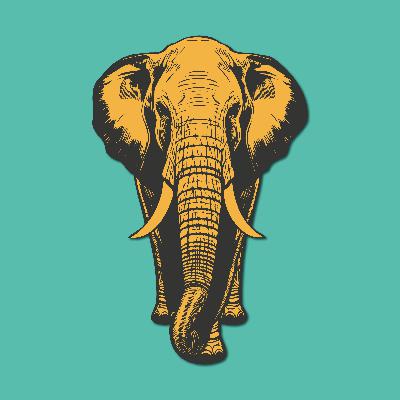 Lions and Tigers and Bears, Oh My! Zoo Vet Med Life