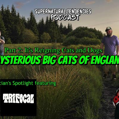 Reigning Cats and Dogs Pt. 2: Cryptid Cats of England