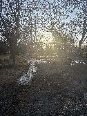 #9 – Je ne suis pas juste monteuse #9 – Je ne suis pas juste monteuse