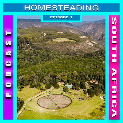 Homesteading in South Africa Episode 1