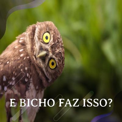 Apresentando o podcast Apresentando o podcast