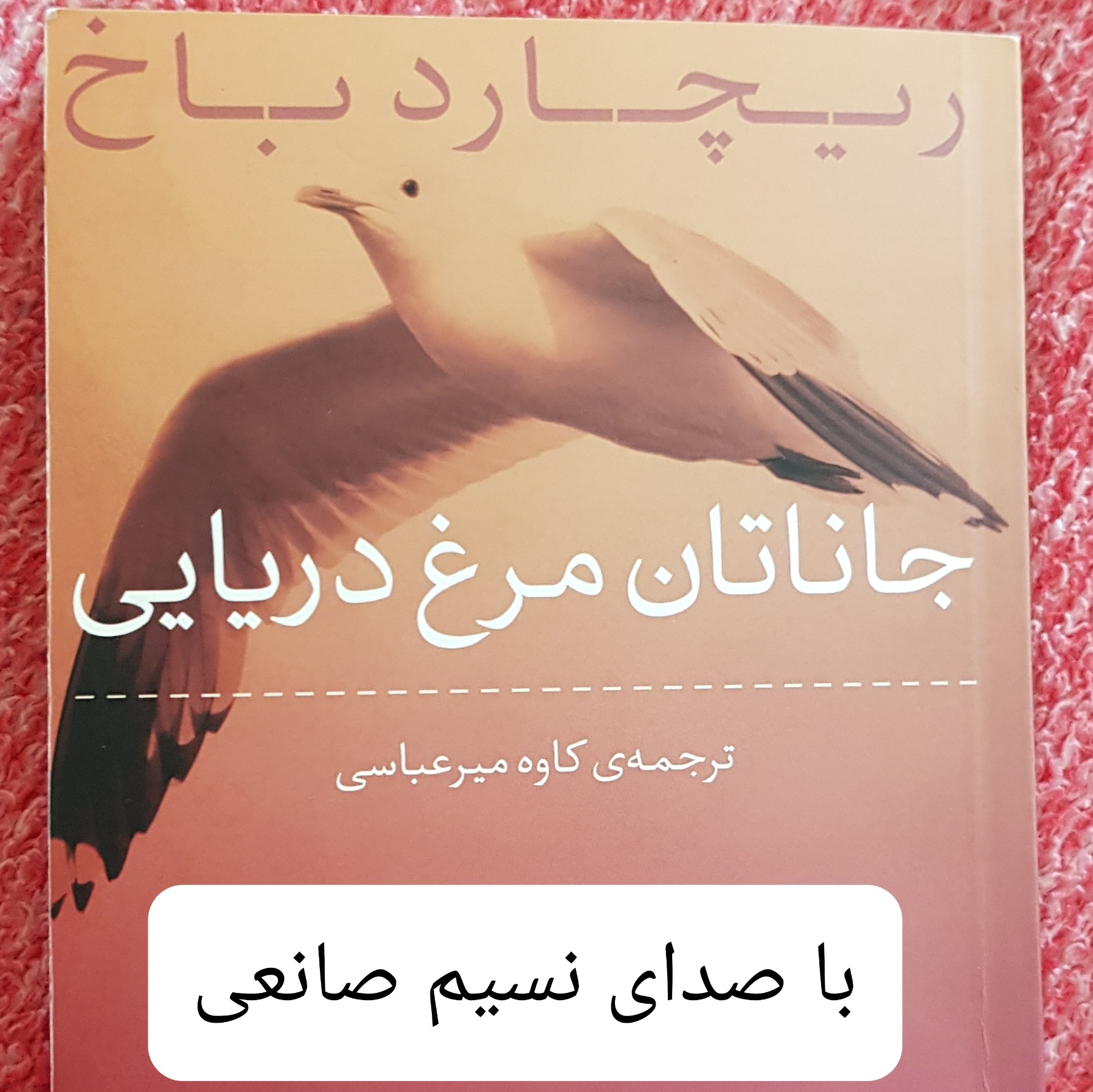 جاناتان مرغ دریایی- بخش دوم