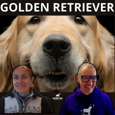 Ep. 43 Golden Retriever: Chi sono, Caratteristiche, Personalità, Motivazioni, Storia