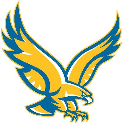 2025 Wahlert Catholic Golden Eagles Football Season Preview
