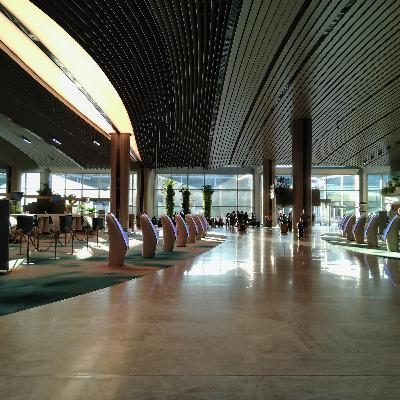 古古古米とカオマンガイの相性をさ、チャンギ国際空港より