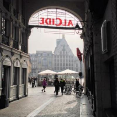 The Fold. From Literary Geographies to Literary Topologies The Fold. From Literary Geographies to Literary Topologies