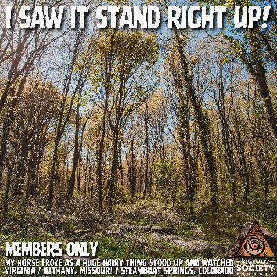 Teen Comes Face-To-Face With Giant Bigfoot South Of Bethany, Missouri | Member's Only Episode A14 Teen Comes Face-To-Face With Giant Bigfoot South Of Bethany, Missouri | Member's Only Episode A14