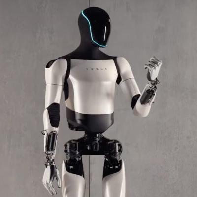 Cybernetics & The Australian Government's Doomed Ban On Social Media