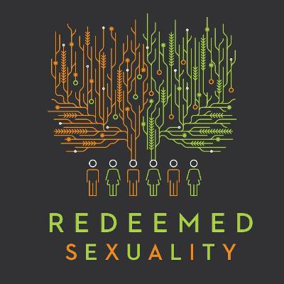 Introduction to Redeemed Sexuality