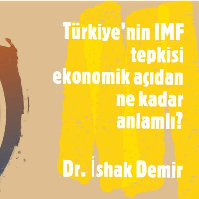 Türkiye'nin IMF Tepkisi Ekonomik Açıdan Ne Kadar Anlamlı?