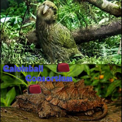 Bestiaire des Besties 33 - Le kakapo et la tortue alligator