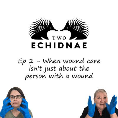 Ep2 - When wound care isn't just about the person with a wound