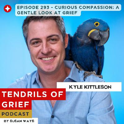 Curious Compassion: A Gentle Look At Grief