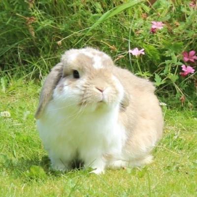 Silly Girl - Chloe moriondo Silly Girl - Chloe moriondo