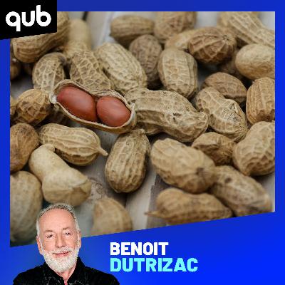 L’allergie aux arachides peut être évitée… à vie! L’allergie aux arachides peut être évitée… à vie!