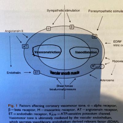 Basic Coronary Blood Flow FRCA