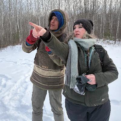 Birding Near the Boundary Waters Birding Near the Boundary Waters