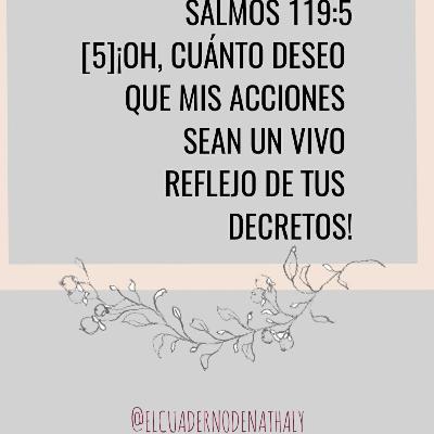 Devocionales diarios con mucho amor 🏞️