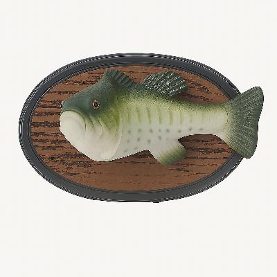 BASS SEEKERS RADIO