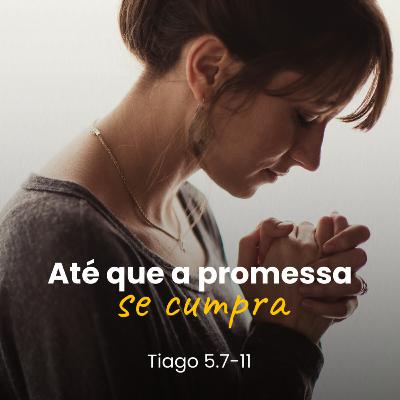 Até que a Promessa se cumpra - Rev. Flávio Machado Até que a Promessa se cumpra - Rev. Flávio Machado