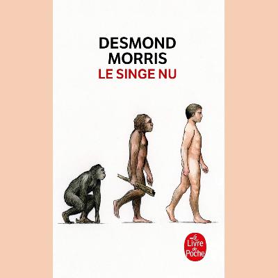 Desmond Morris - Le singe nu - Introduction