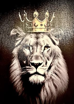 #233 : Disco House me up - 26th November, 2025