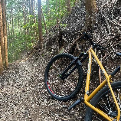 P)スチールバイクはブームだったのか？